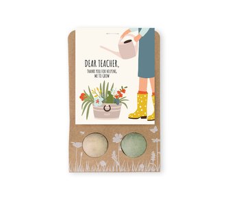 Blossombs Semínkové bomby - Drobný dáreček pro učitele - Květiny (2 ks)