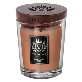Medium Candle - Wild Cedar Tree, Medium Candle | Brown | Sensual;Woody | Wild Cedar Tree
