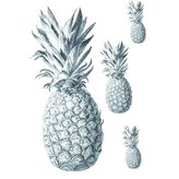 Samolepka na textil, zažehlovací, 19x28 cm, motiv ANANAS, barevná