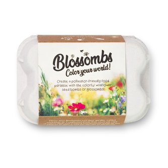 Blossombs Semínkové bomby - Dárkový box na vajíčka (6 ks)
