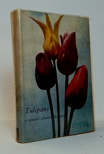 Tulipány a ostatní cibulové květiny