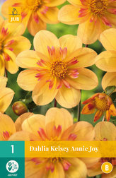 Karta - Jiřina KELSEY ANNE JOY (1 hlíza) "B"