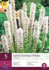 Karta - Šuškarda FLORISTAN WHITE (5 cibulí) "B"