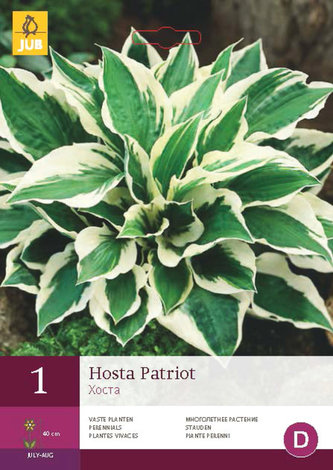 Karta - Bohyška/Hosta PATRIOT (1 hlíza) "C"