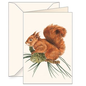 Karnet B6 + koperta 8978 Wiewiórka