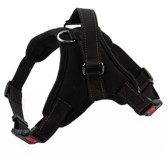 Postroj pro psa Classic - Černá S