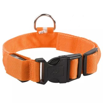 LED Obojek pro psa Mesh /Oranžová XL