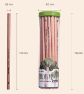 Grafitová tužka 2B MP2012 30 ks