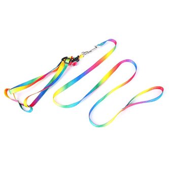 Postroj s vodítkem pro psa a kočku 150/2cm Duhová