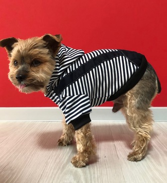 Pruhovaná zimní mikina pro psa Modrá XS