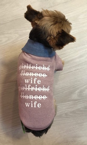 Bavlněná mikina pro psa s nápisem - Růžová L