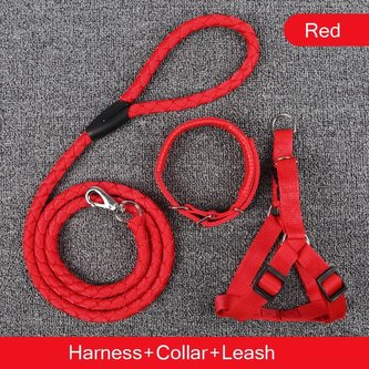 Vodítko + postroj + obojek Easy Červená 2XL