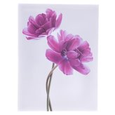 Obraz na plátně, 0/24