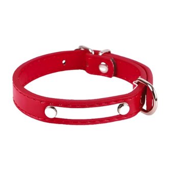 Obojek pro psa Luxury Winiw / Červená XS