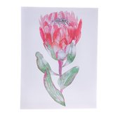 Obraz na plátně, 0/24