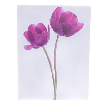 Obraz na plátně, 0/24