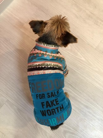 Kombinéza pro psa Freedom - Modrá M