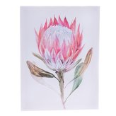 Obraz na plátně, 0/24