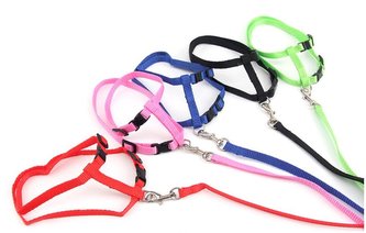 Vodítko/Postroj nylonové kšíry Classic 120cm Červená