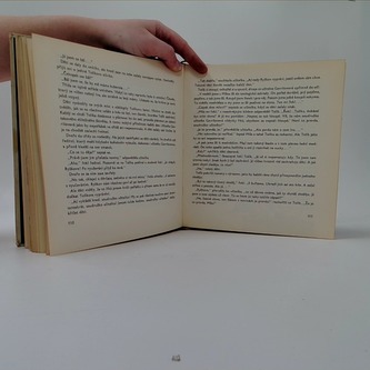 Ve městě byl kouzelník