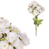 Růže v pugetu, bílá barva.