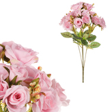 Růže v pugetu, růžová barva.