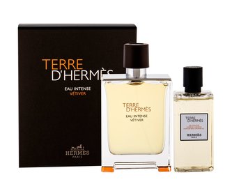Hermes Terre D´Hermes parfémovaná voda 100 ml + sprchový gel 80 ml