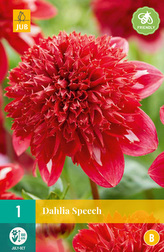 Karta - Jiřina SPEECH (1 hlíza) "B"