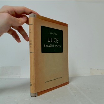 Ulice rybařící kočky