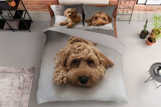 DETEXPOL Francouzské povlečení Štěně  Bavlna, 220/200, 2x70/80 cm