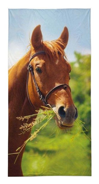 DETEXPOL Osuška Kůň  Bavlna - Froté, 70/140 cm