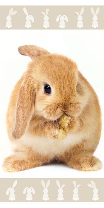 JERRY FABRICS Osuška Králíček hnědý  Bavlna - Froté, 70/140 cm