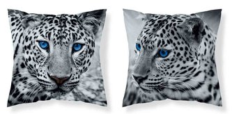 DETEXPOL Povlak na polštářek Leopard černobílá micro  Polyester, 40/40 cm