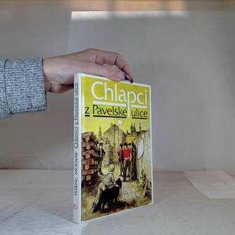 Chlapci z Pavelské ulice