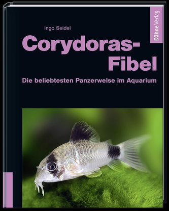 Corydoras-Fibel