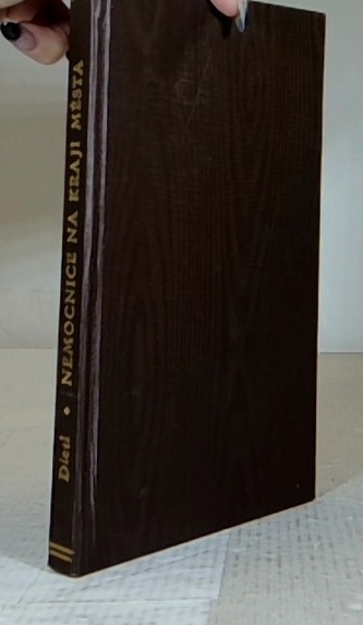 Nemocnice na kraji města