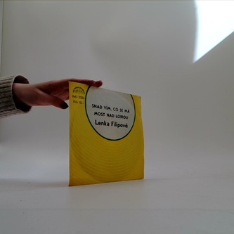 Snad vím, co se má, Most nad Loirou