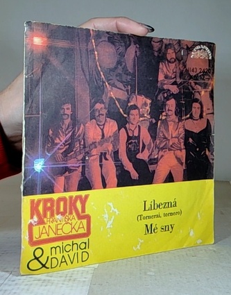 Kroky F.Janečka a M.David - Líbezná,Mé sny