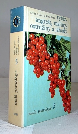 Rýbíz, angrešt, maliny, ostružiny a jahody