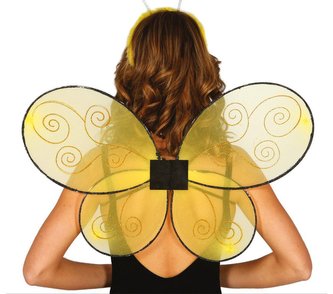 Včelí křídla 52x42 cm