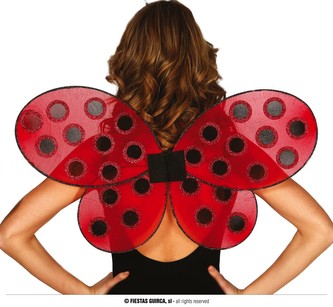 Křídla beruška 52x43 cm