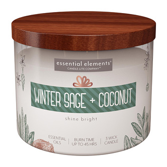 Duftkerze Winter Sage & Coconut - 418g