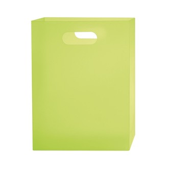 Oxybag Box na sešity A4 PP Opaline Frosty zelená