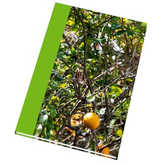 Záznamní kniha A4 linka 96l. s plátěným hřbetem