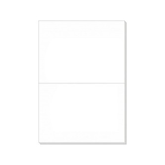 Etiketa 210x148,5 A4 100l.