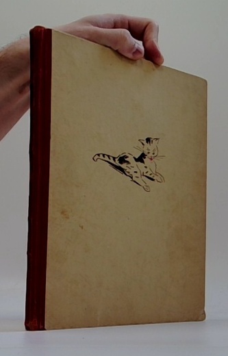 přítelkyně kočka