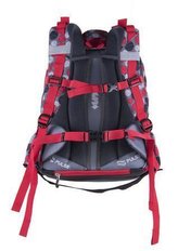 Batoh "Lady Bug", šedá, 22 litrů, anatomický, PULSE