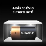 Baterie "Basic", C baby, 2 ks, DURACELL