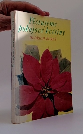 Pěstujeme pokojové květiny
