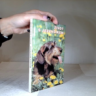 Život s jezevčíkem